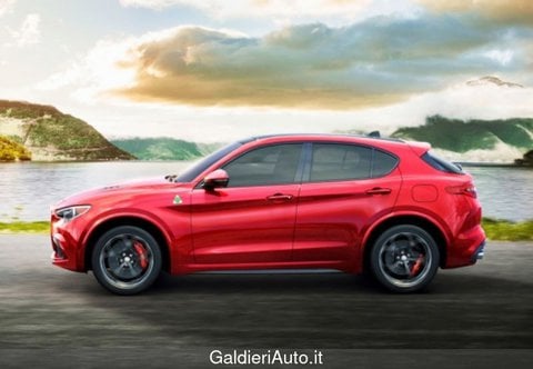 Auto Usate A Salerno | Alfa Romeo Stelvio 2.2 T Executive Q4 210Cv Auto
