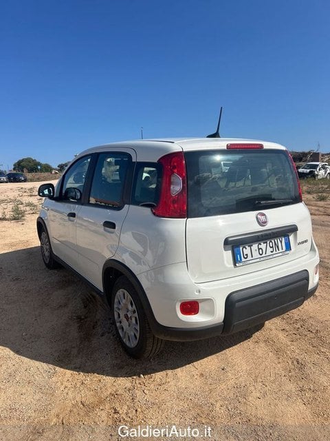 Auto Usate A Avellino | Fiat Panda My24 1.0 70Cv Hybrid Panda