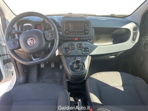 Auto Usate A Avellino | Fiat Panda My24 1.0 70Cv Hybrid Panda