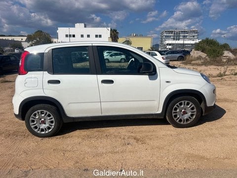 Auto Usate A Avellino | Fiat Panda My24 1.0 70Cv Hybrid Panda