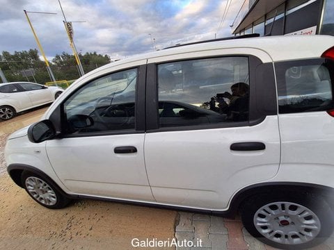 Auto Usate A Avellino | Fiat Panda My24 1.0 70Cv Hybrid Panda
