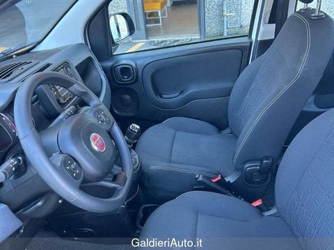 Auto Usate A Avellino | Fiat Panda My24 1.0 70Cv Hybrid Panda
