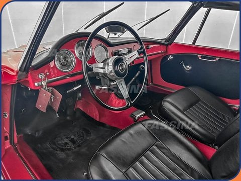 Auto Usate A Milano | Alfa Romeo Spider 1600