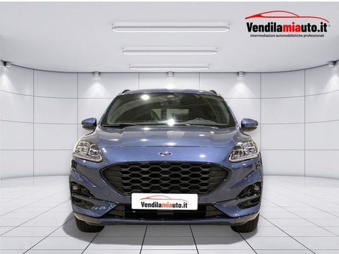 Auto Usate A Padova | Ford Kuga Kuga 1.5 Ecoboost St-Line 2Wd 150Cv
