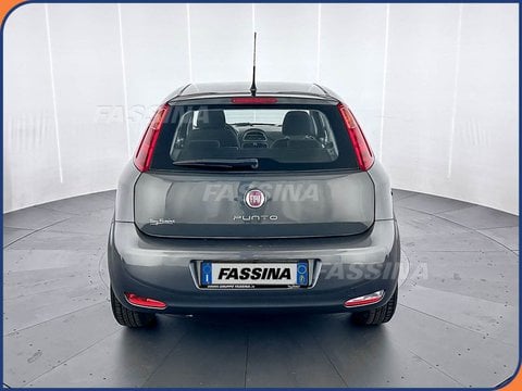Auto Usate A Milano | Fiat Punto Punto 1.2 8V 5 Porte Easy