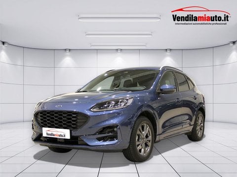 Auto Usate A Padova | Ford Kuga Kuga 1.5 Ecoboost St-Line 2Wd 150Cv