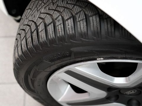 Auto Usate A Padova | Ford Focus 1.5 Ecoblue 120Cv Business Auto (Presso La Sede Di Padova)