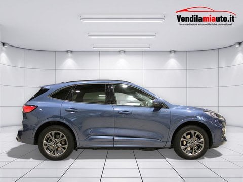 Auto Usate A Padova | Ford Kuga Kuga 1.5 Ecoboost St-Line 2Wd 150Cv