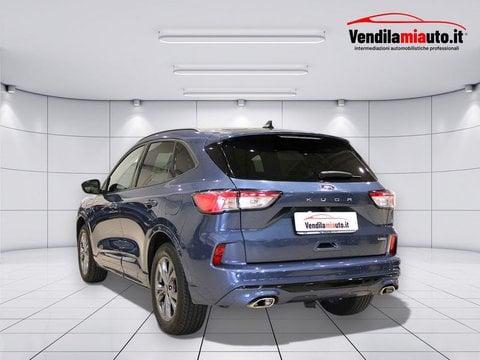 Auto Usate A Padova | Ford Kuga Kuga 1.5 Ecoboost St-Line 2Wd 150Cv