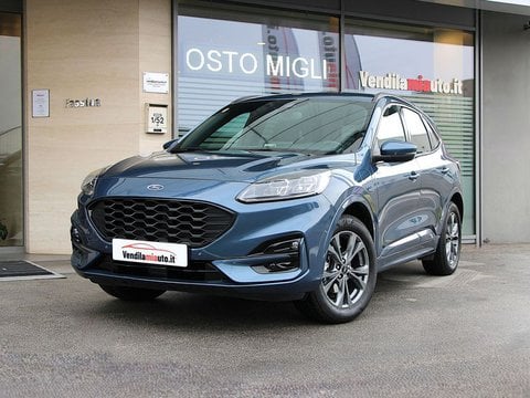 Auto Usate A Padova | Ford Kuga Kuga 1.5 Ecoboost St-Line 2Wd 150Cv