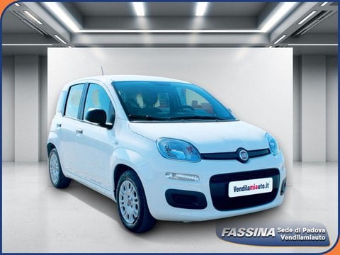 Auto Usate A Padova | Fiat Panda Panda 1.0 Firefly S&S Hybrid - Padova