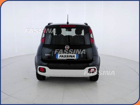 Auto Usate A Milano | Fiat Panda Panda 1.0 Firefly S&S Hybrid Pandina