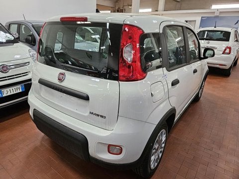 Auto Fiat Panda 1.0 Firefly S&S Hybrid - Km Zero - Pronta Consegna!!! Km0 A Lucca