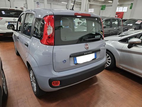 Auto Fiat Panda 1.2 Easy Usate A Lucca