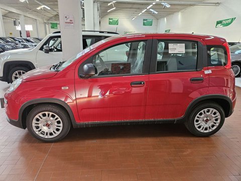 Auto Fiat Panda 1.0 Firefly S&S Hybrid Km0 A Lucca