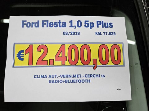 Auto Ford Fiesta Plus 1.0 5 Porte Usate A Lucca