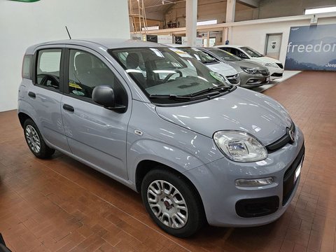 Auto Fiat Panda 1.2 Easy Usate A Lucca