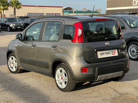 Auto Fiat Panda 1.0 Firefly City Life 71 Cv Usate A Roma