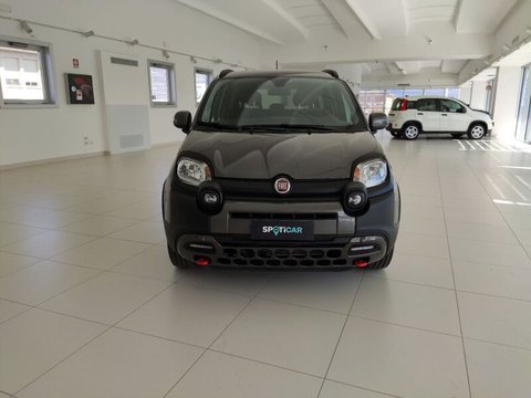 Auto Fiat Panda 1.0 Firefly S&S Hybrid City Cross Usate A Arezzo