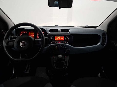 Auto Fiat Panda 0.9 Twinair Turbo S-S 4X4 201903 Usate A Palermo