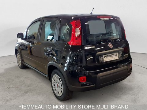 Auto Fiat Panda 1.0 Firefly S&S Hybrid Km0 A Parma