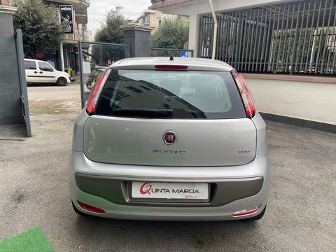 Auto Fiat Punto Evo Punto Evo 1.2 5 Porte Dynamic Usate A Caserta