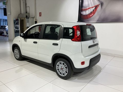 Auto Fiat Panda 1.2 Easypower Usate A Parma