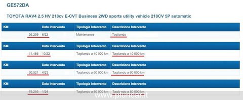 Auto Toyota Rav4 2.5 Hv 218Cv Hybrid 2Wd E-Cvt Navi Cruise Fari Led Usate A Cremona