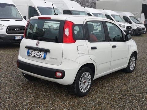Auto Fiat Professional Panda Van Panda 1.2 Easy Van 4 Posti Usate A Reggio Emilia
