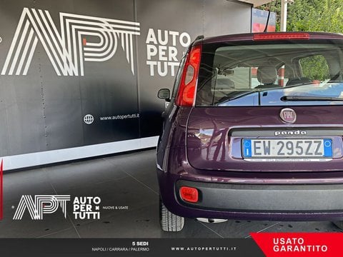 Auto Fiat Panda 1.2 Easy 69Cv E6 Usate A Napoli