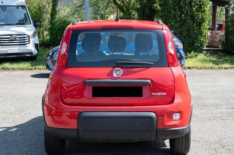 Auto Fiat Panda 1.0 Firefly S&S Hybrid City Life Usate A Torino