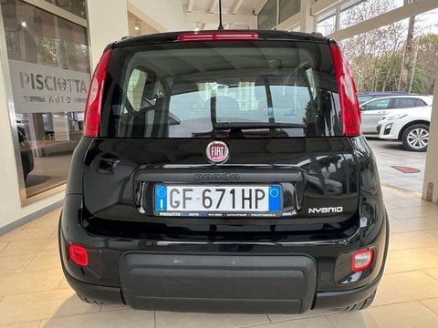 Auto Fiat Panda 1.0 Firefly S&S Hybrid City Life Usate A Trapani