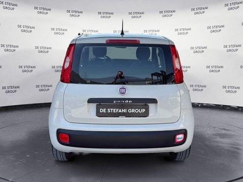 Auto Usate A Ravenna | Fiat Panda Panda 1.2 Easy 69Cv