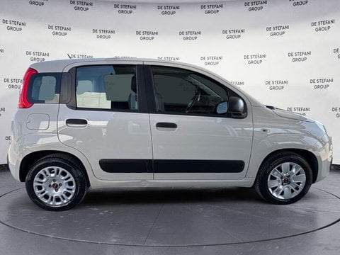 Auto Usate A Ravenna | Fiat Panda Panda 1.2 Easy 69Cv