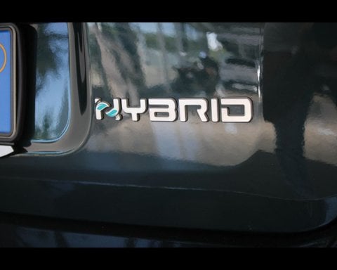 Auto Usate A Piacenza | Fiat Panda Cross Panda Iii 2021 Cross Panda 1.0 Firefly Hybrid (Red) S&S ...