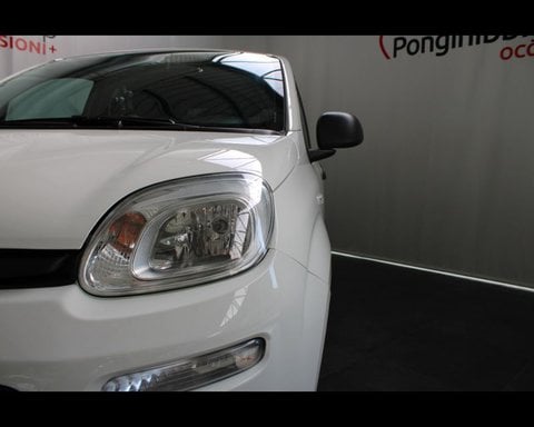 Auto Usate A Piacenza | Fiat Professional Panda Van Iii Van 1.0 Hybrid Easy 70Cv 4P.ti Serie 3 E6D