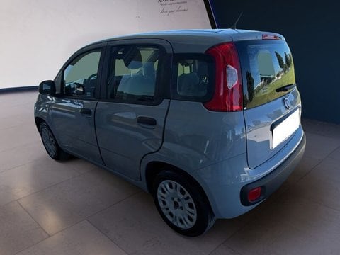 Auto Usate A Teramo | Fiat Panda Panda 1.2 Lounge S&S 69Cv My19 Benzina/Metano