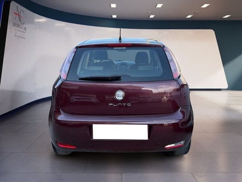 Auto Usate A Teramo | Fiat Punto Punto Evo 5P 1.3 Mjt Dynamic S&S 95Cv