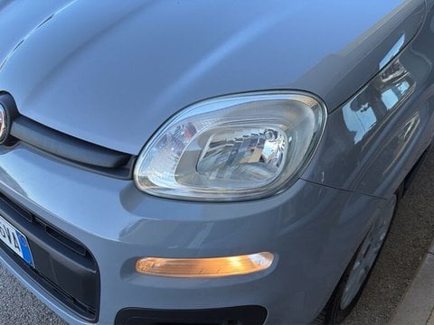 Auto Usate A Teramo | Fiat Panda Panda 1.2 Lounge S&S 69Cv My19 Benzina/Metano