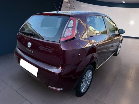 Auto Usate A Teramo | Fiat Punto Punto Evo 5P 1.3 Mjt Dynamic S&S 95Cv