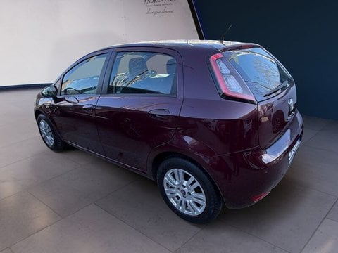 Auto Usate A Teramo | Fiat Punto Punto Evo 5P 1.3 Mjt Dynamic S&S 95Cv