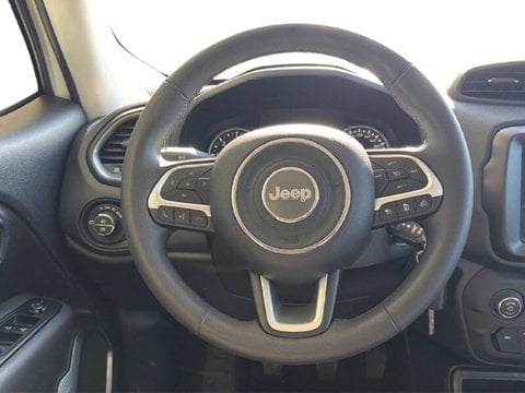 Auto Usate A Teramo | Jeep Renegade Renegade 1.6 Mjt Limited 2Wd 130Cv