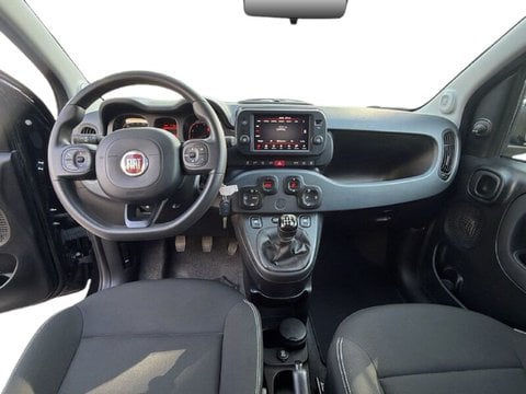 Auto Usate A Teramo | Fiat Panda Fiat Panda 1.2 Easy Power 69Cv