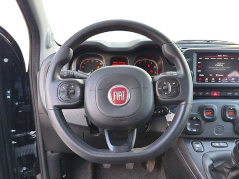 Auto Usate A Teramo | Fiat Panda Fiat Panda 1.2 Easy Power 69Cv