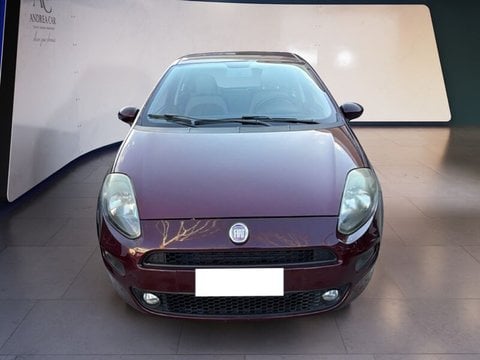 Auto Usate A Teramo | Fiat Punto Punto Evo 5P 1.3 Mjt Dynamic S&S 95Cv