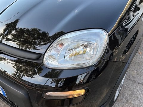Auto Usate A Teramo | Fiat Panda Fiat Panda 1.2 Easy Power 69Cv