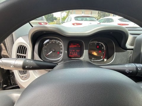 Auto Usate A Teramo | Fiat Panda Panda 1.0 Firefly Hybrid S&S 70Cv