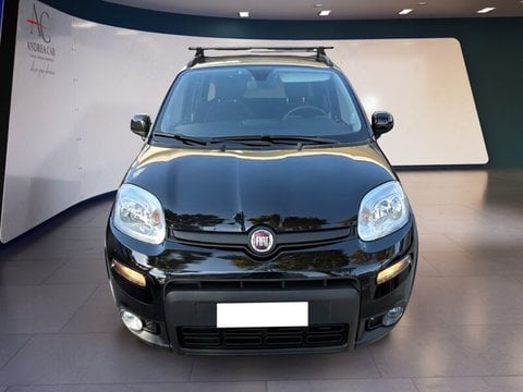 Usate A Teramo | Fiat Panda Fiat Panda 1.2 Easy Power 69Cv