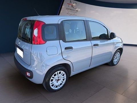 Auto Usate A Teramo | Fiat Panda Panda 1.2 Lounge S&S 69Cv My19 Benzina/Metano