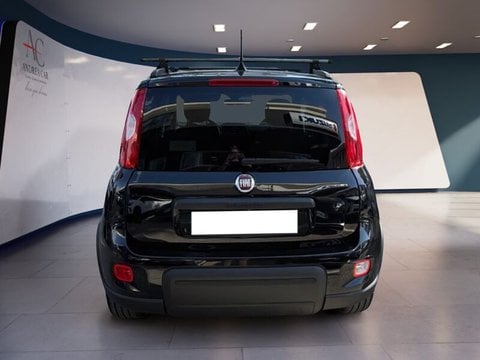 Auto Usate A Teramo | Fiat Panda Fiat Panda 1.2 Easy Power 69Cv